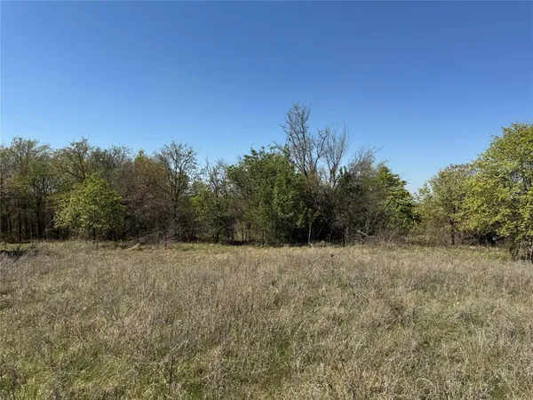 a view of a dry yard with trees in the background