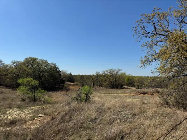 a view of a field with a tree