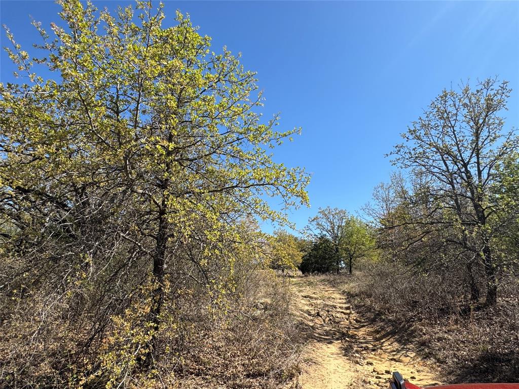 10.37 Smith Road Nocona, TX 76255 - Photo 5 of 19