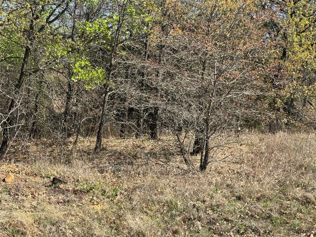 10.37 Smith Road Nocona, TX 76255 - Photo 6 of 19