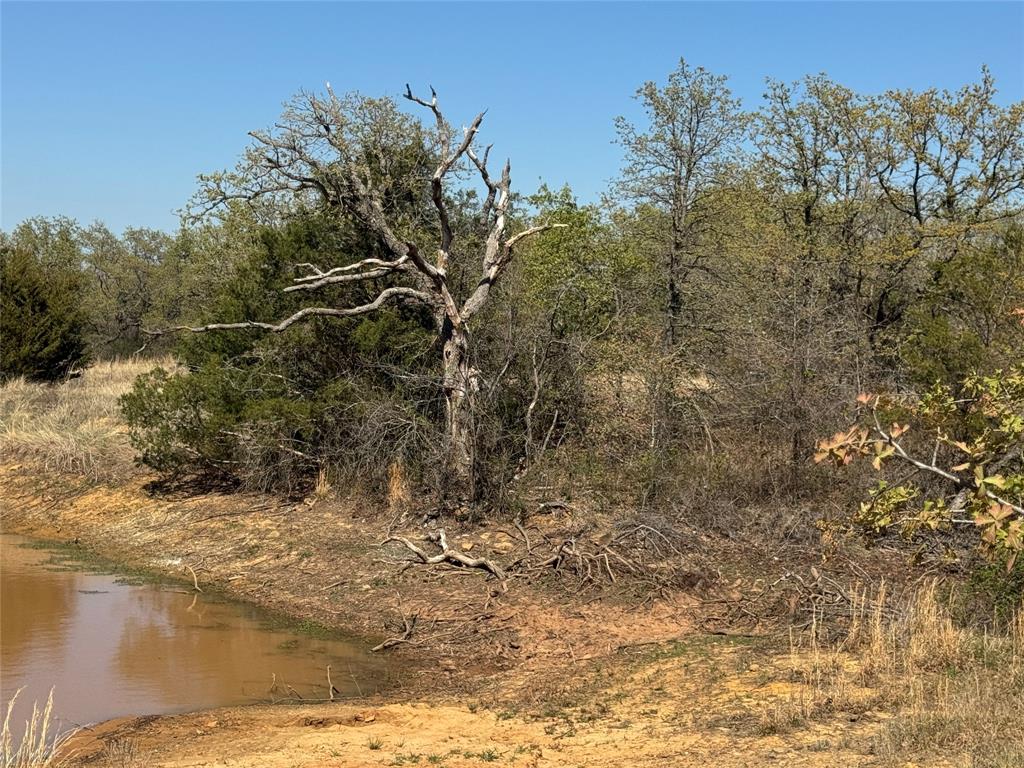 10.37 Smith Road Nocona, TX 76255 - Photo 7 of 19