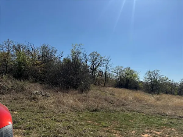 a view of a dry yard with trees
