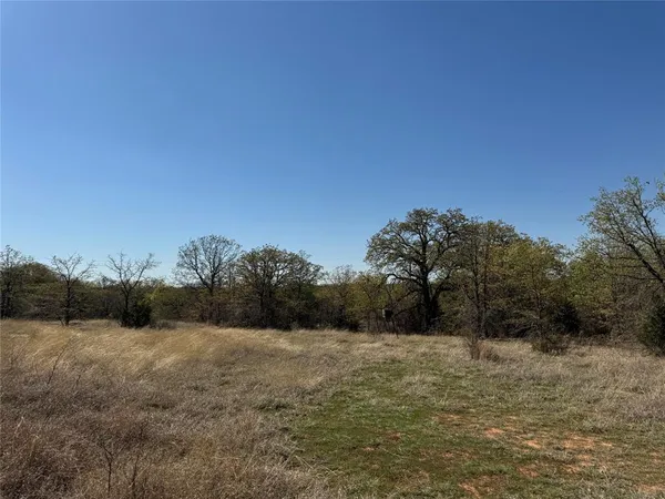 a view of mountain view with large trees