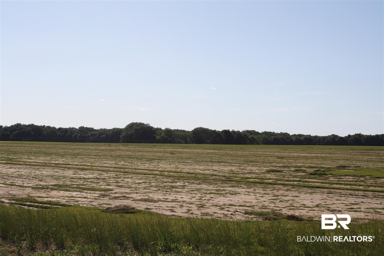 0 Vernant Park Road Foley, AL 36535 - Photo 17 of 20