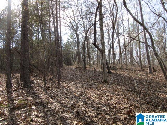 229 County Road, Unit 29 Thorsby, AL 35171 - Photo 22 of 23