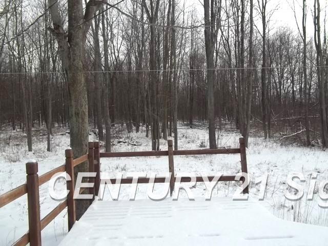 5361 Teft Road St. Charles, MI 48655 - Photo 2 of 17