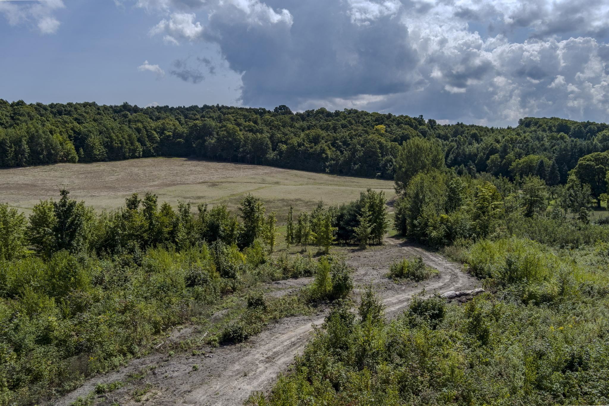 8010 East Horn Road Suttons Bay, MI 49682 - Photo 7 of 24 Gallery Image 7
