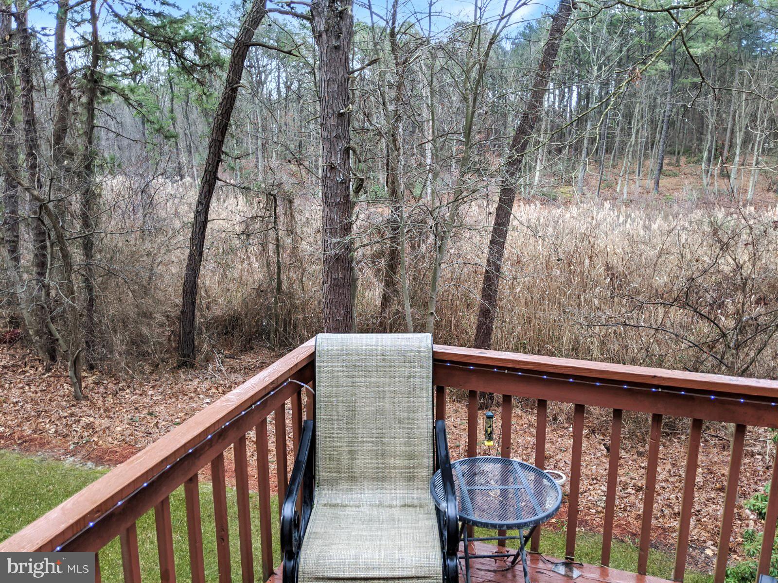 57 Penn Road Voorhees, NJ 08043 - Photo 34 of 35 Almost An Acre Of Natural Seclusion!