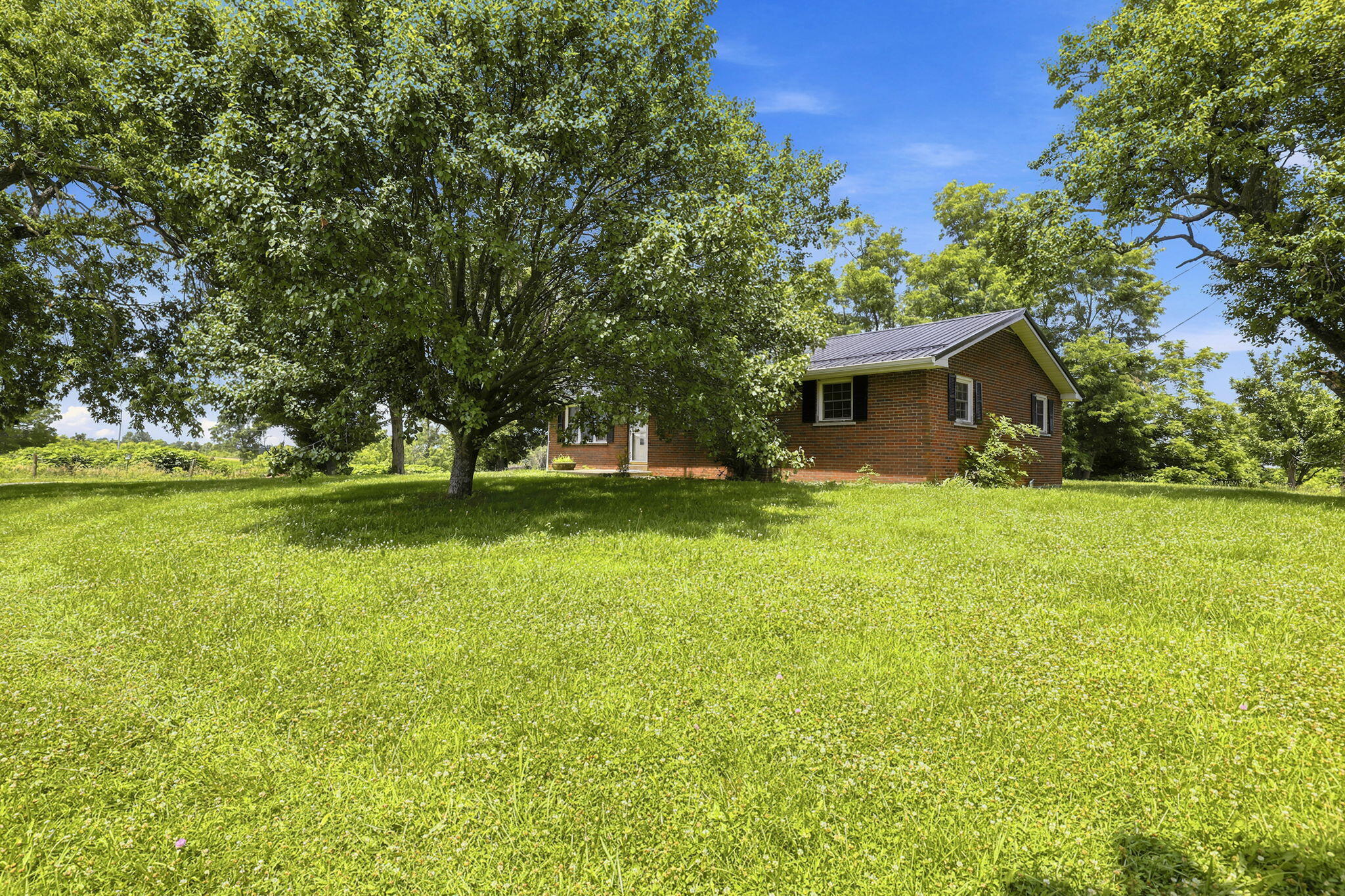 525 Chipman Ridge Road Williamstown, KY 41097 - Photo 38 of 49 45-web-or-mls-44-print-_B6A0681
