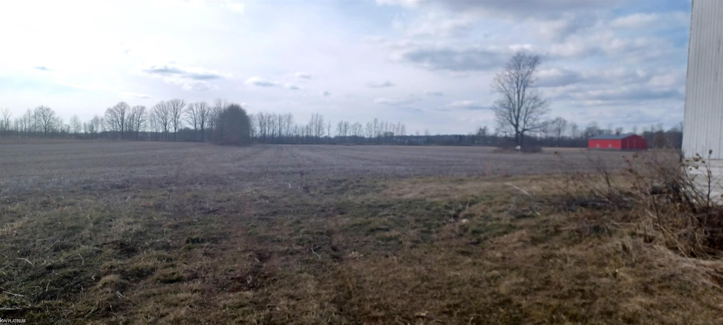 1935 Cove Road Goodells, MI 48027 - Photo 10 of 14