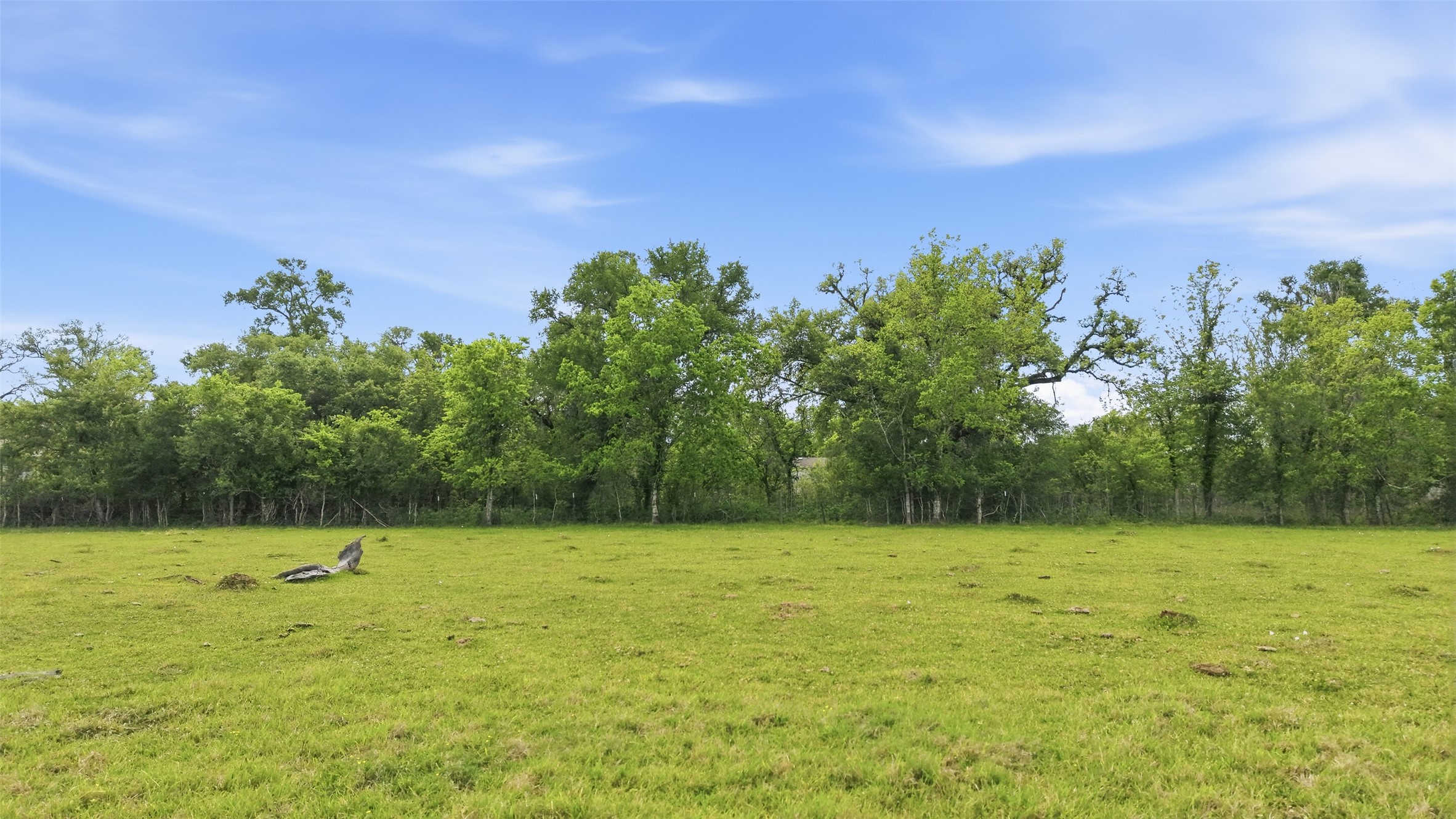 0 Rio Brazos Street Rosharon, TX 77583 - Photo 5 of 11 View from back side of the property.