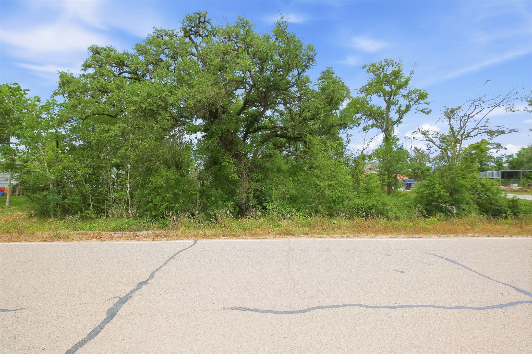 0 Rio Brazos Street Rosharon, TX 77583 - Photo 8 of 11