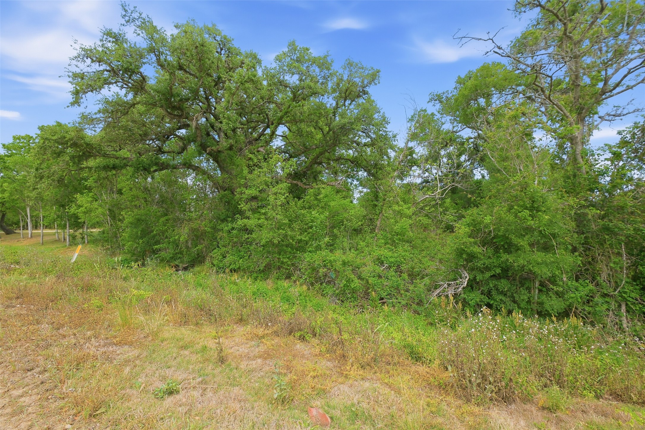 0 Rio Brazos Street Rosharon, TX 77583 - Photo 10 of 11