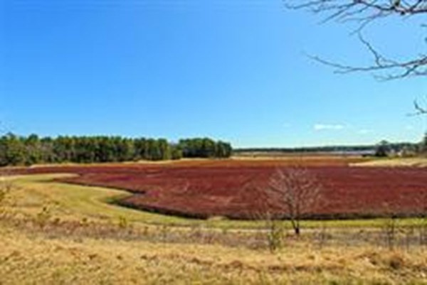 8 Pine Ridge Way, Unit 8 Carver, MA 02330 - Photo 37 of 42 Gallery Image 37