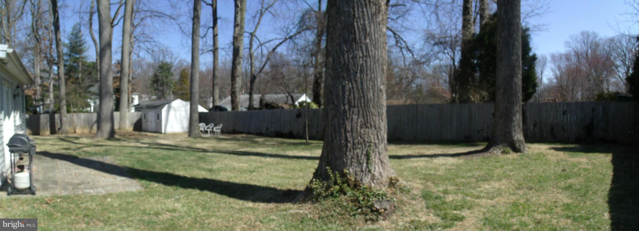 5214 Light Street Springfield, VA 22151 - Photo 24 of 27 a view of backyard with green space
