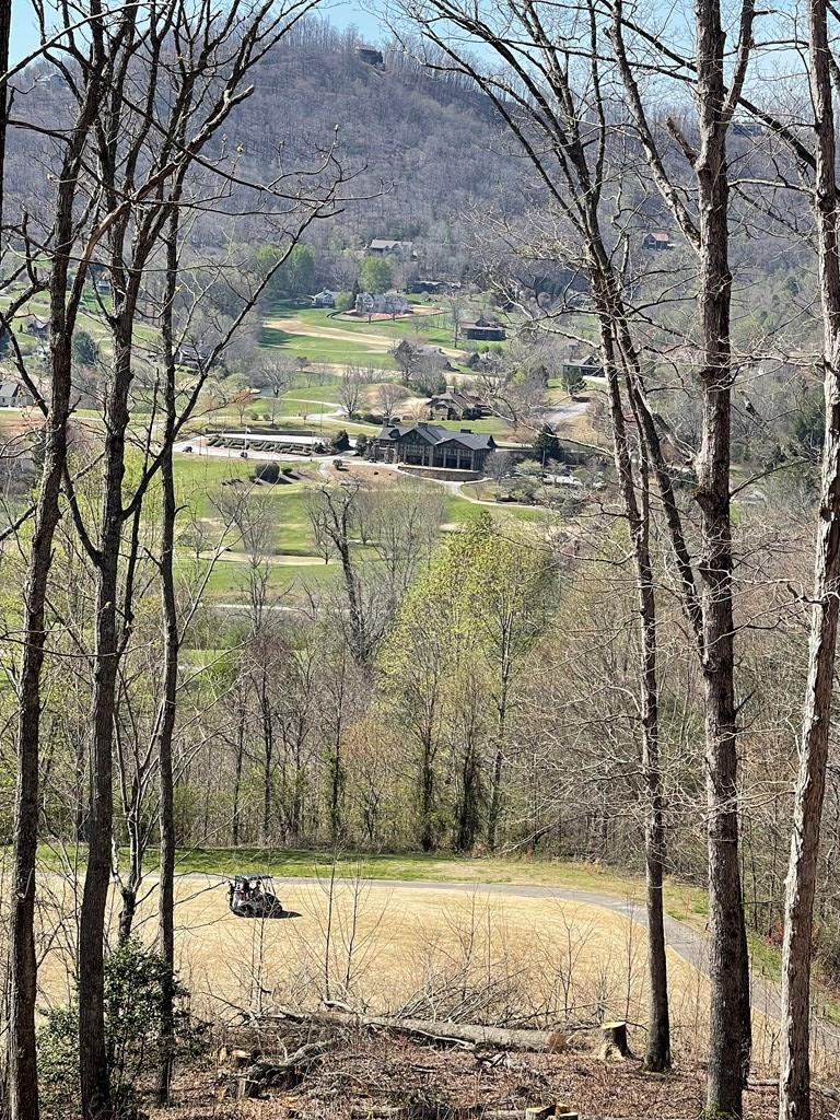 17 M Ridges Hayesville, NC 28904 - Photo 2 of 30