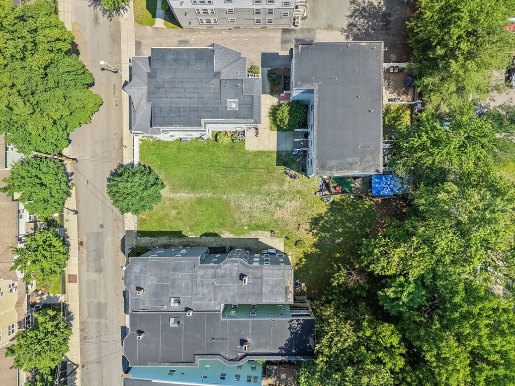 34 Cobden Street Boston, MA 02119 - Photo 4 of 8