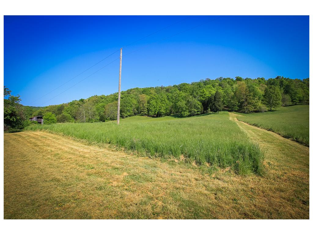 Tbd Tbd Simpson Road Church Hill, TN 37642 - Photo 7 of 9 Photo 7