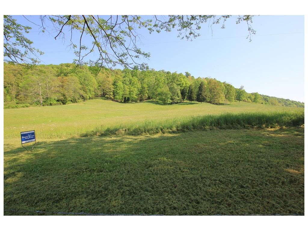 Tbd Tbd Simpson Road Church Hill, TN 37642 - Photo 8 of 9 Photo 8