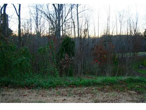 a view of a yard with trees in the background