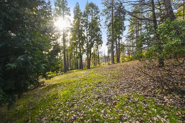 $585,000 | 2894 Black Oak Drive, Arnold, CA 95223