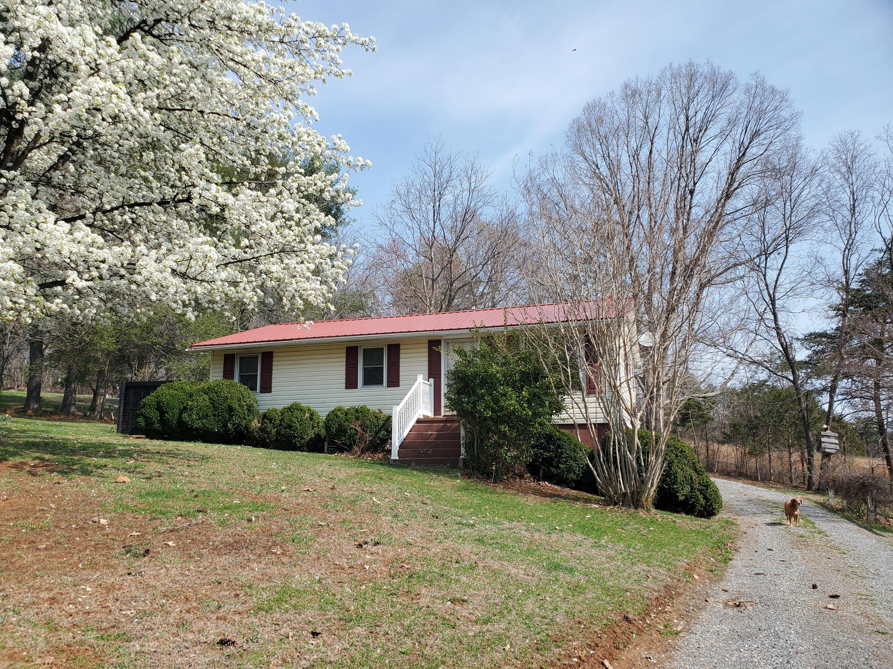 1135 Taylor Mountain Road Thaxton, VA 24174 - Photo 27 of 38 20260313_115209