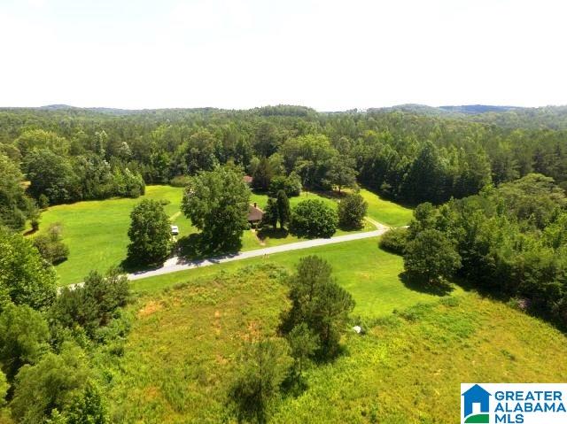 436 Newbury's Road, Unit 79 ACRES Ashland, AL 36251 - Photo 3 of 27