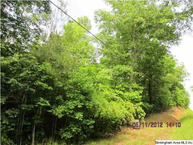 48 Highway, Unit 36 Lineville, AL 36266 - Photo 3 of 7