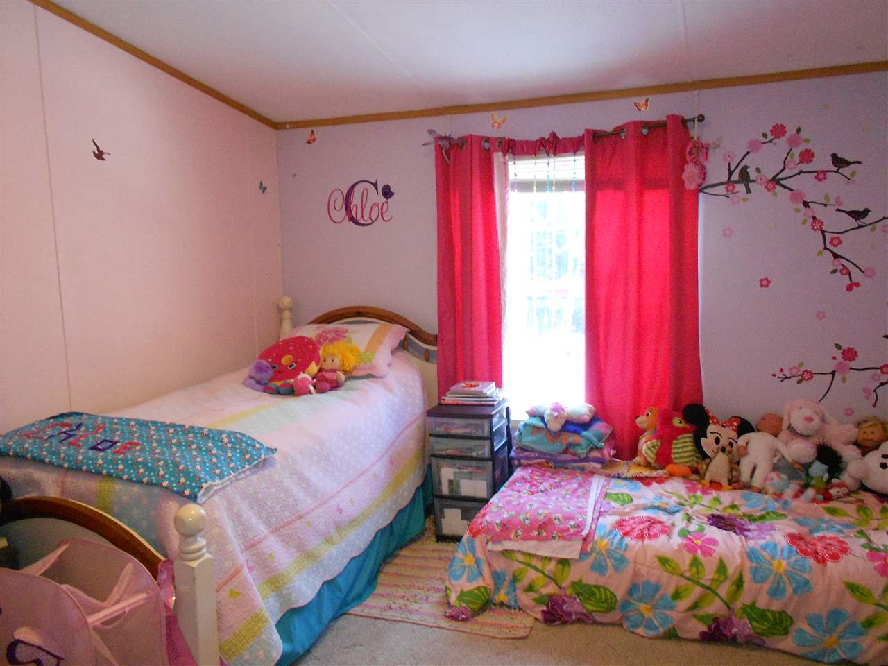 35 Finethy Road Alton, NH 03809 - Photo 17 of 22