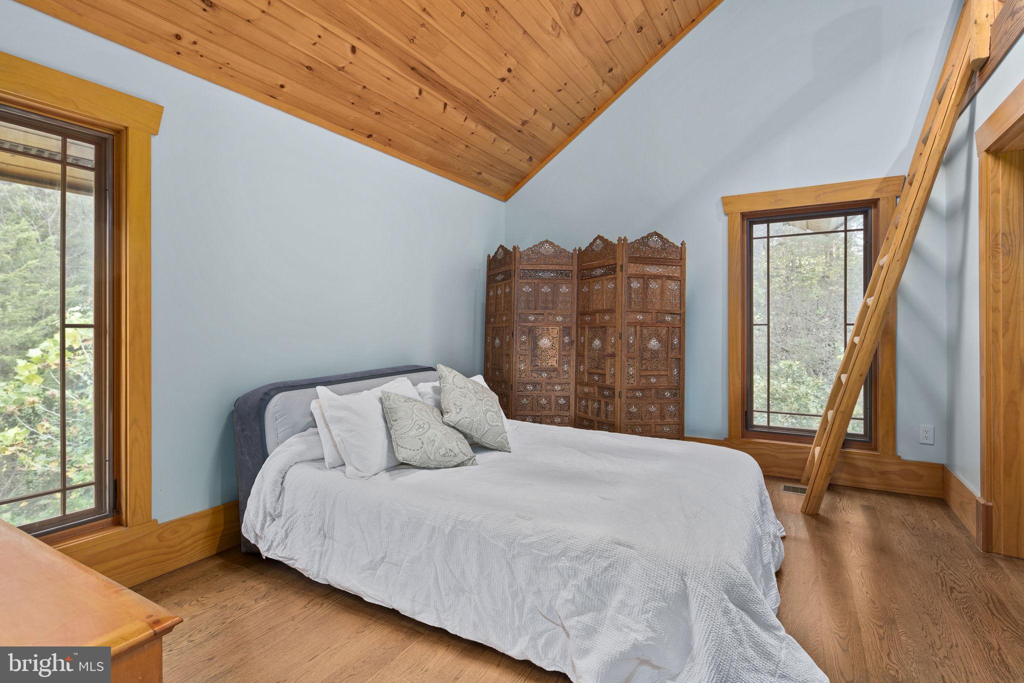 10312 Us Highway Rileyville, VA 22650 - Photo 54 of 138 Studio apartment with loft in carriage house