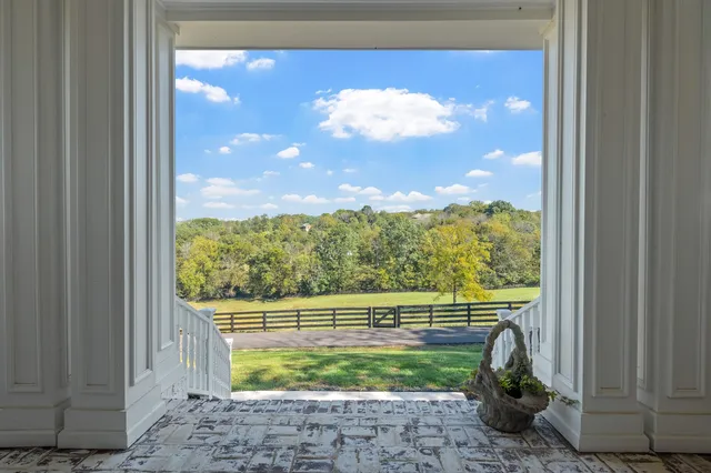 a view of bathroom with a potted plant on the counter and sink