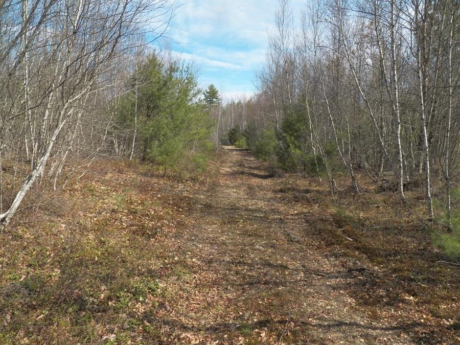 988 Dover Road Epsom, NH 03234 - Photo 1 of 29