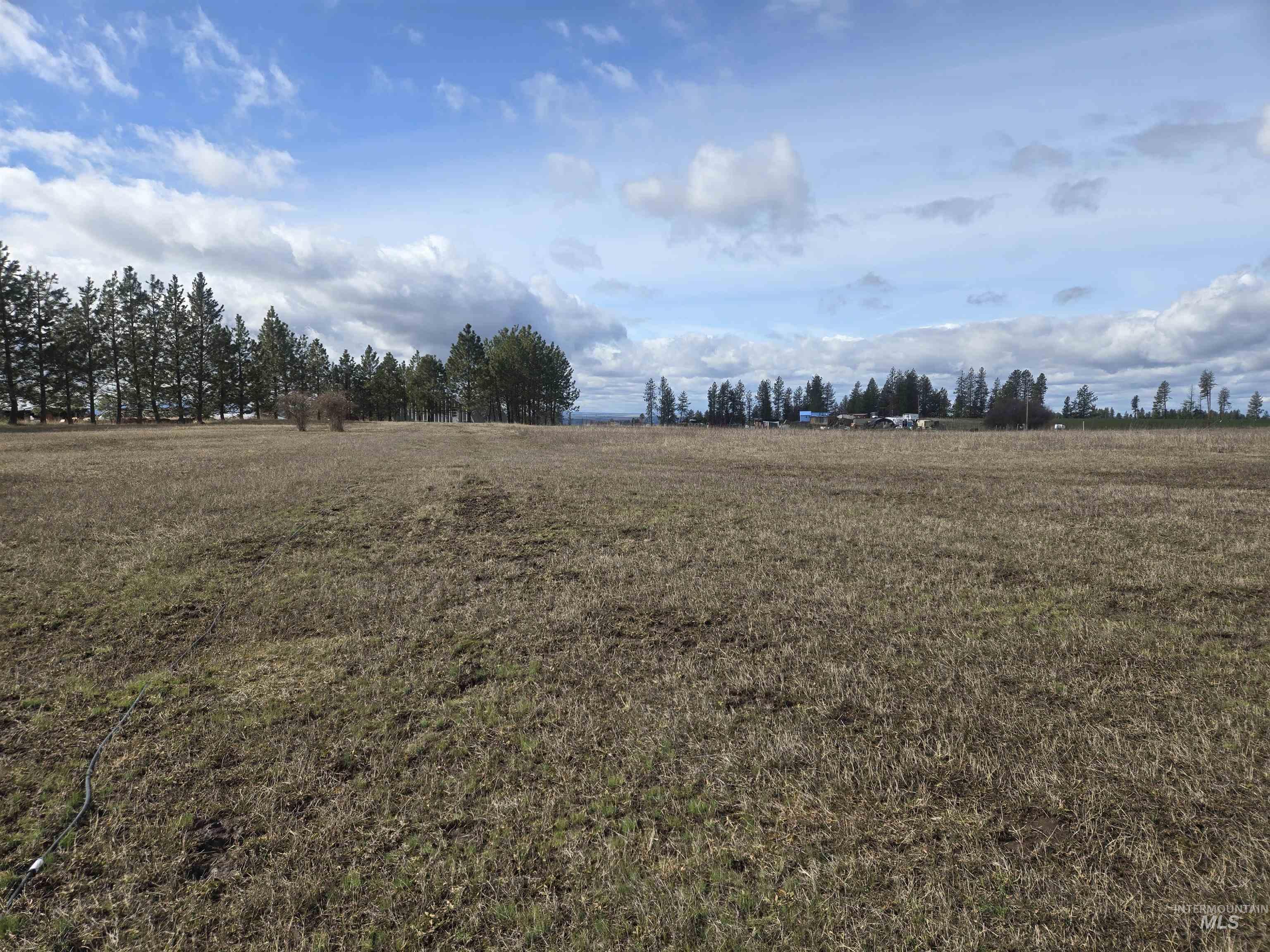 135 Harrisburg Road Kamiah, ID 83536 - Photo 26 of 30 View of undeveloped land featuring rural landscape