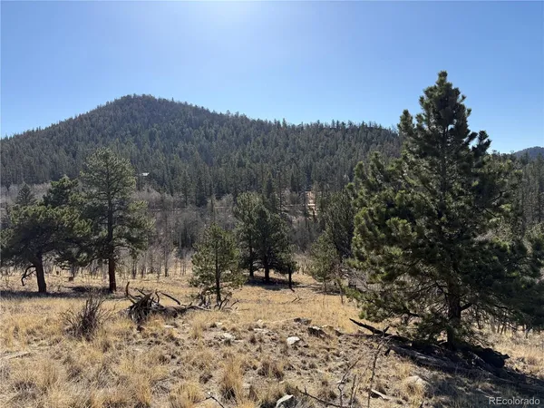 $69,000 | 234 Warclub Court, Jefferson, CO 80456