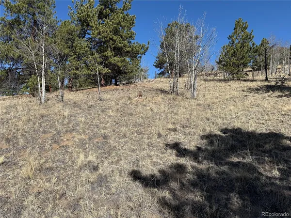 $69,000 | 234 Warclub Court, Jefferson, CO 80456