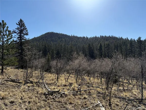 $69,000 | 234 Warclub Court, Jefferson, CO 80456
