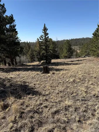 $69,000 | 234 Warclub Court, Jefferson, CO 80456