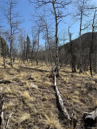 $69,000 | 234 Warclub Court, Jefferson, CO 80456