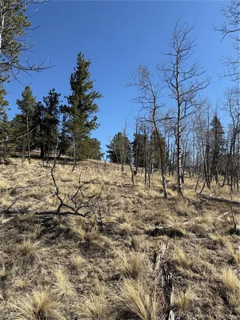 $69,000 | 234 Warclub Court, Jefferson, CO 80456