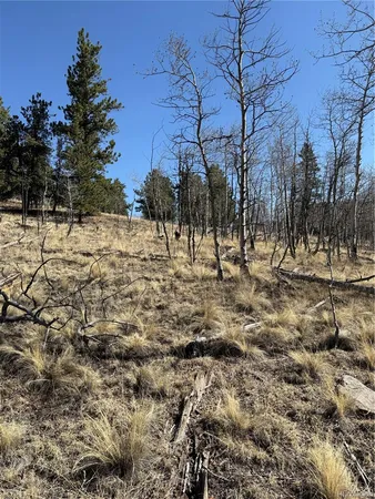$69,000 | 234 Warclub Court, Jefferson, CO 80456