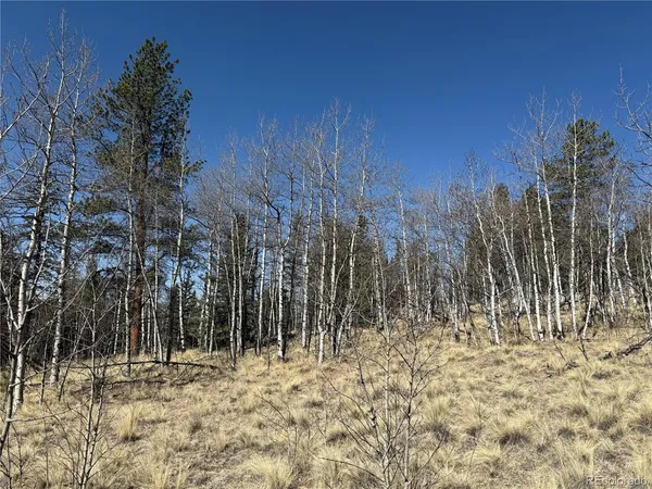 $69,000 | 234 Warclub Court, Jefferson, CO 80456
