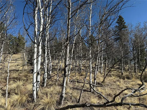 $69,000 | 234 Warclub Court, Jefferson, CO 80456