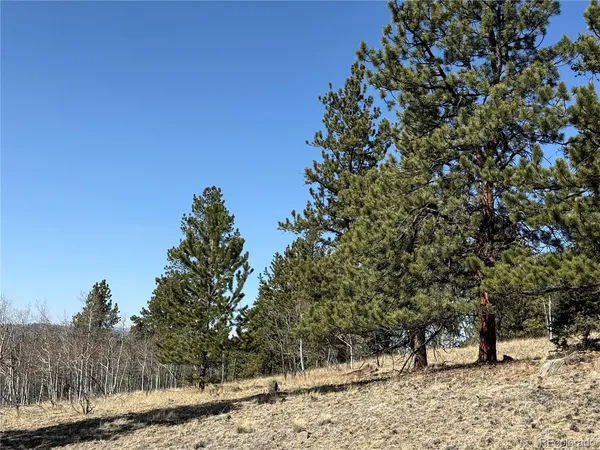 $69,000 | 234 Warclub Court, Jefferson, CO 80456