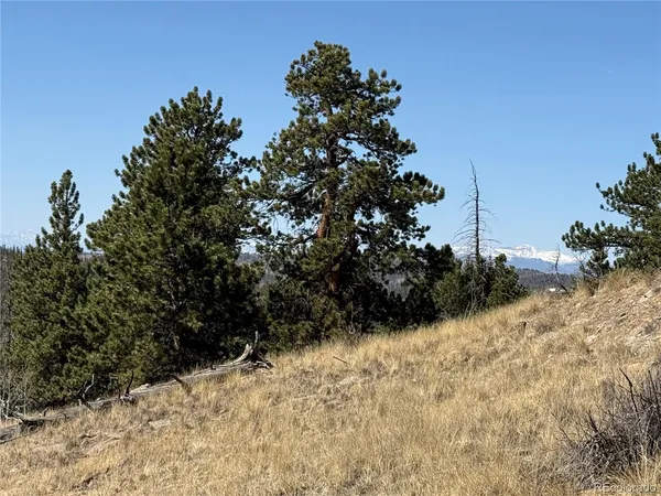 $69,000 | 234 Warclub Court, Jefferson, CO 80456