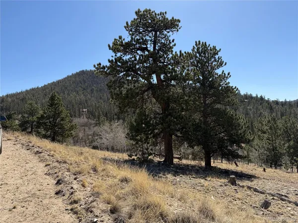 $69,000 | 234 Warclub Court, Jefferson, CO 80456