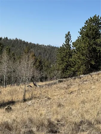 $69,000 | 234 Warclub Court, Jefferson, CO 80456