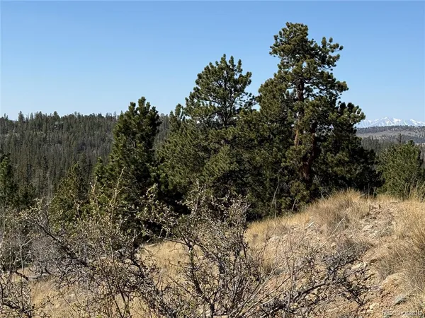 $69,000 | 234 Warclub Court, Jefferson, CO 80456