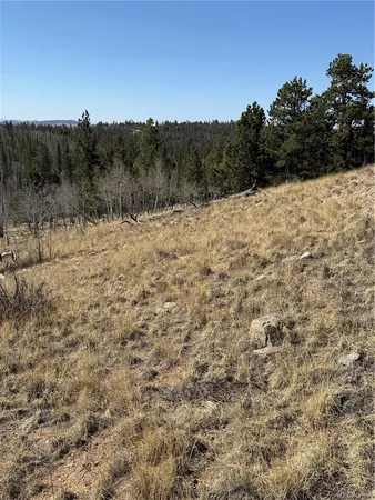 $69,000 | 234 Warclub Court, Jefferson, CO 80456