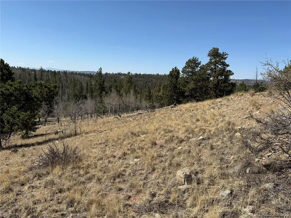$69,000 | 234 Warclub Court, Jefferson, CO 80456