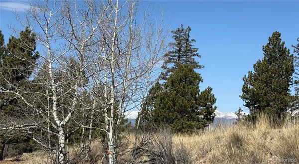 $69,000 | 234 Warclub Court, Jefferson, CO 80456